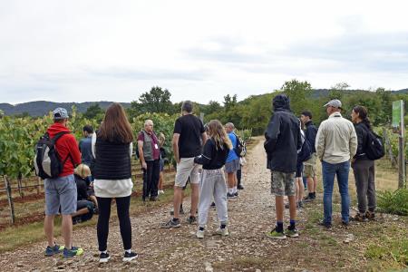 50PTP - Degustacijski pohod Walk & Taste; Vir: Meta Bajc, Visit Kras